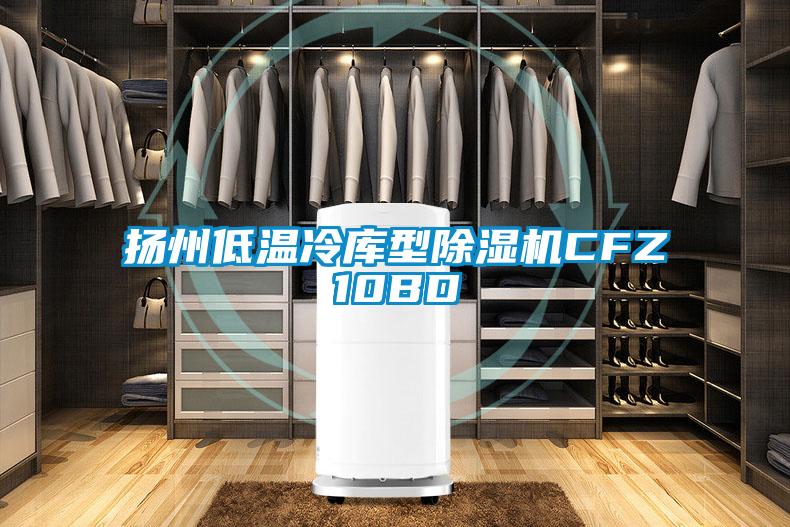 扬州低温冷库型91抖音免费看片CFZ10BD