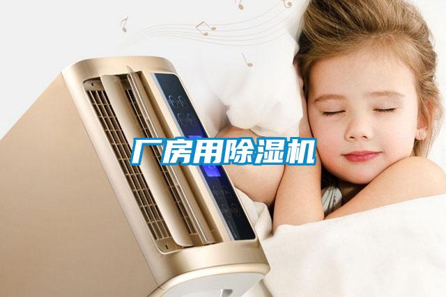 厂房用91抖音免费看片