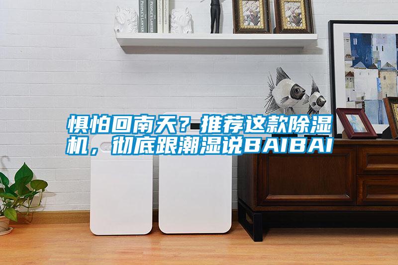 惧怕回南天？推荐这款91抖音免费看片，彻底跟潮湿说BAIBAI