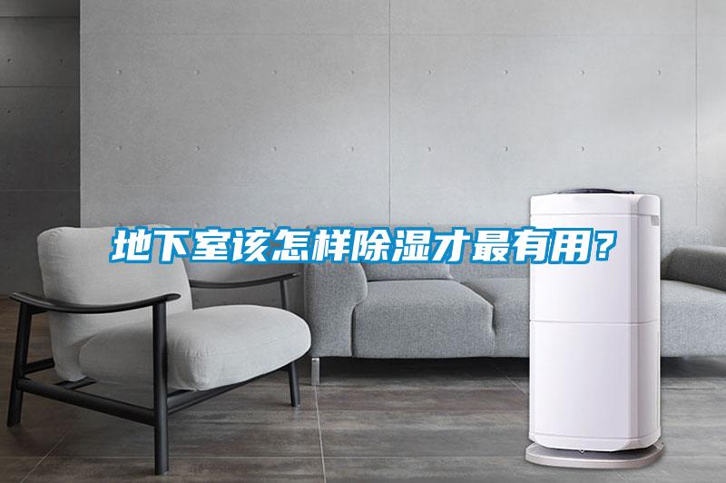 地下室该怎样除湿才最有用？