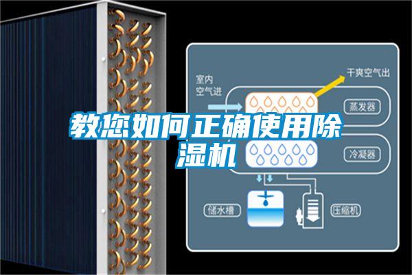 教您如何正确使用91抖音免费看片