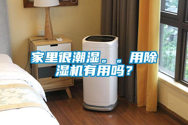 家里很潮湿。。用91抖音免费看片有用吗？