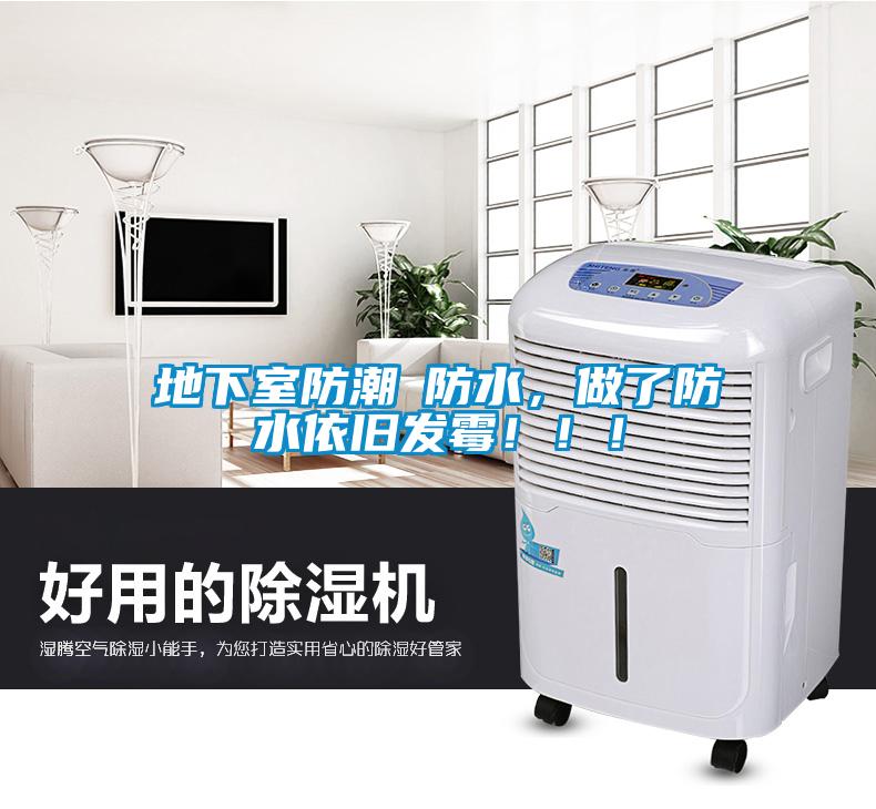 地下室防潮≠防水，做了防水依旧发霉！！！