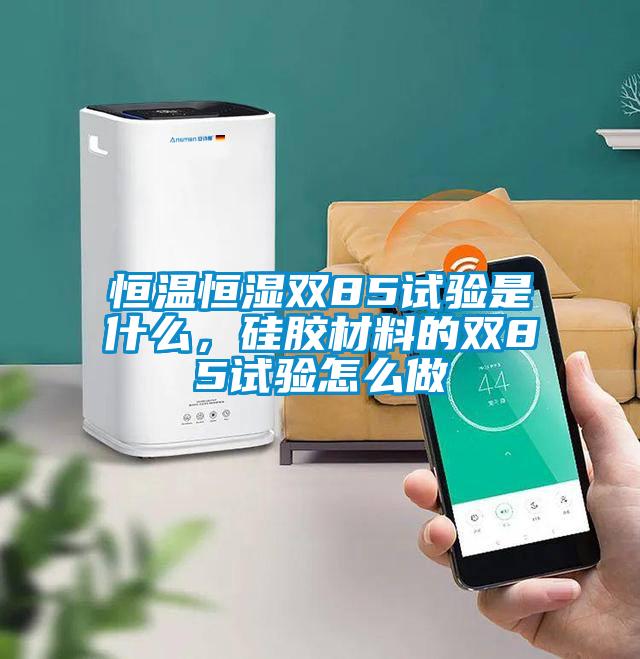 恒温恒湿双85试验是什么，硅胶材料的双85试验怎么做