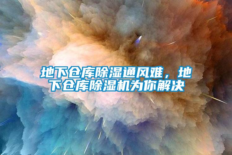 地下仓库除湿通风难，地下仓库91抖音免费看片为你解决