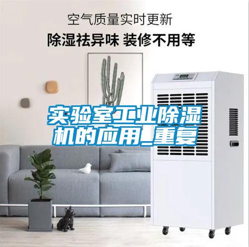 实验室工业91抖音免费看片的应用_重复