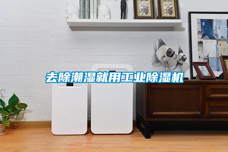 去除潮湿就用工业91抖音免费看片