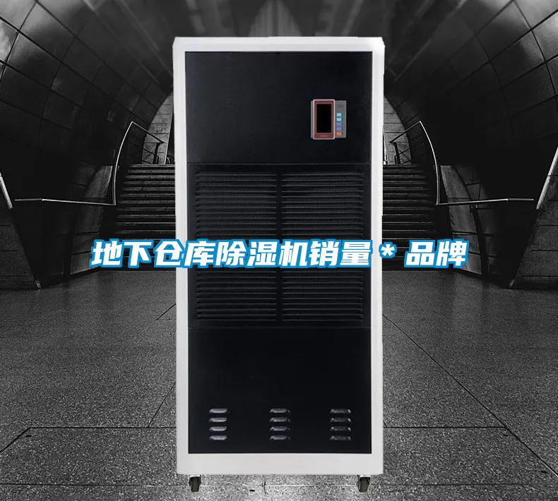 地下仓库91抖音免费看片销量＊品牌
