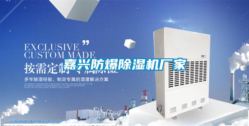 嘉兴防爆91抖音免费看片厂家