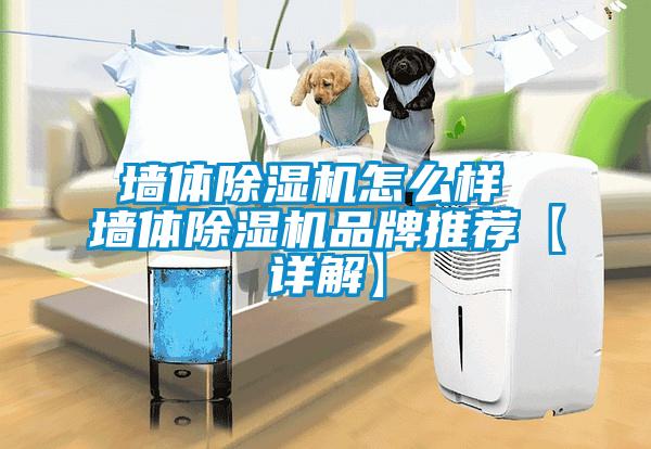墙体91抖音免费看片怎么样 墙体91抖音免费看片品牌推荐【详解】