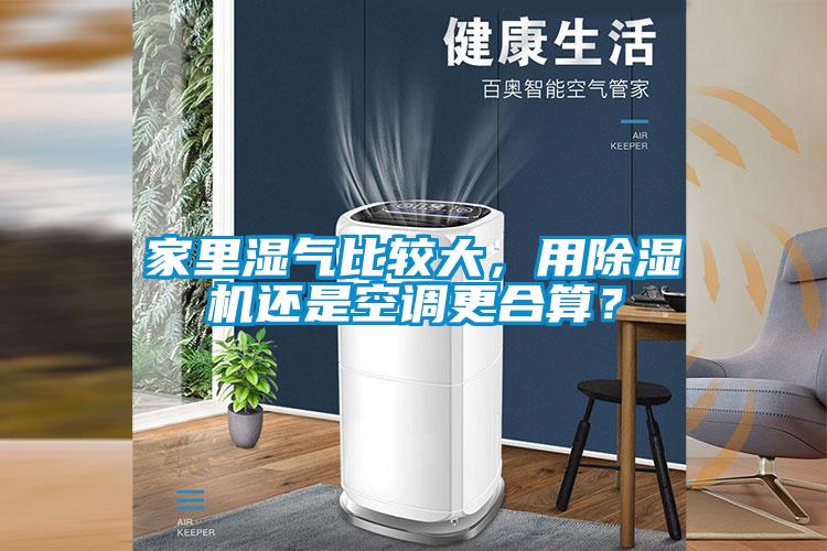 家里湿气比较大，用91抖音免费看片还是空调更合算？