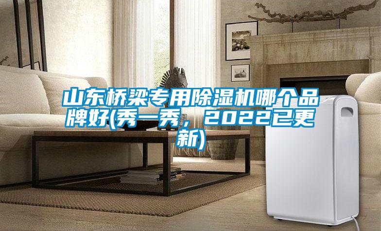 山东桥梁专用91抖音免费看片哪个品牌好(秀一秀，2022已更新)