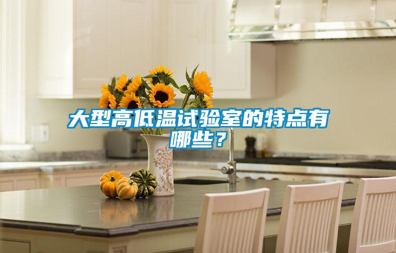 大型高低温试验室的特点有哪些？
