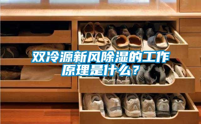 双冷源新风除湿的工作原理是什么？