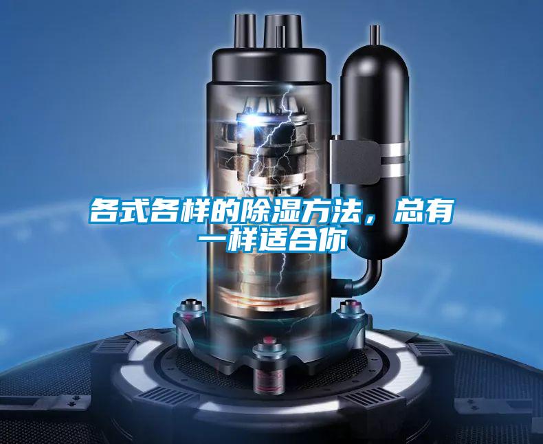 各式各样的除湿方法，总有一样适合你