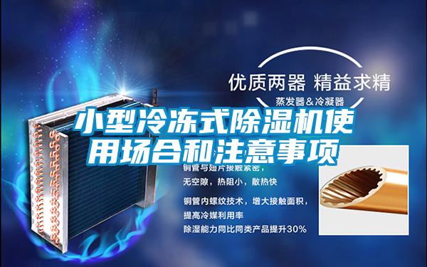 小型冷冻式91抖音免费看片使用场合和注意事项