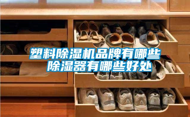 塑料91抖音免费看片品牌有哪些 除湿器有哪些好处