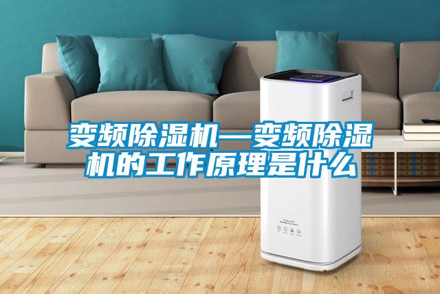 变频91抖音免费看片—变频91抖音免费看片的工作原理是什么