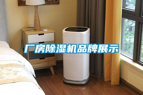 厂房91抖音免费看片品牌展示