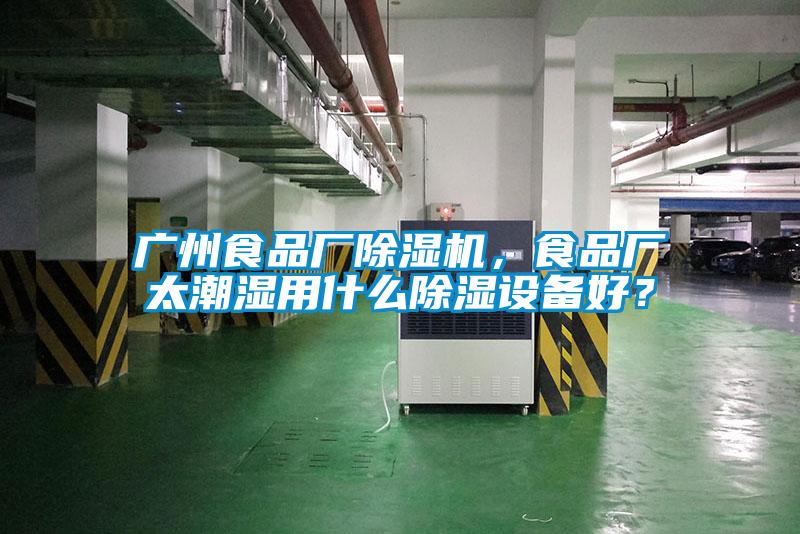 广州食品厂91抖音免费看片，食品厂太潮湿用什么除湿设备好？