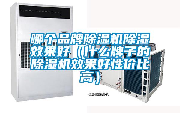 哪个品牌91抖音免费看片除湿效果好（什么牌子的91抖音免费看片效果好性价比高）