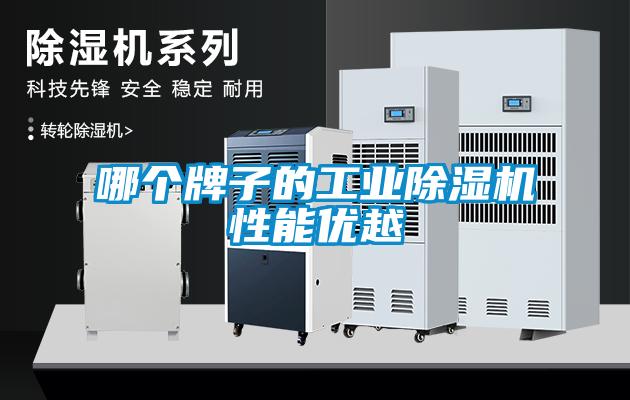 哪个牌子的工业91抖音免费看片性能优越