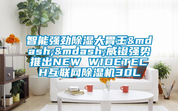 智能强劲除湿大胃王——威镫强势推出NEW WIDETECH互联网91抖音免费看片30L