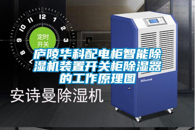 庐陵华科配电柜智能91抖音免费看片装置开关柜除湿器的工作原理图