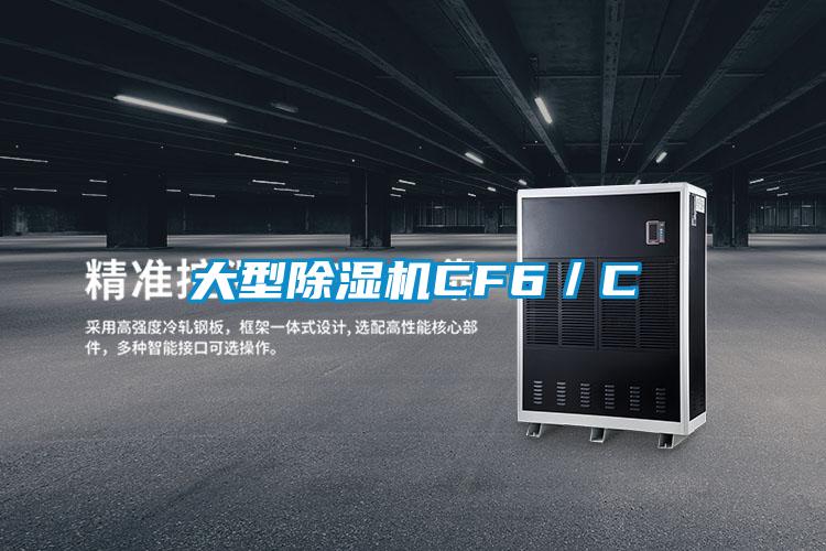 大型91抖音免费看片CF6／C