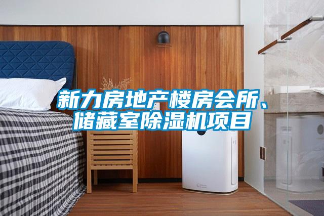 新力房地产楼房会所、储藏室91抖音免费看片项目