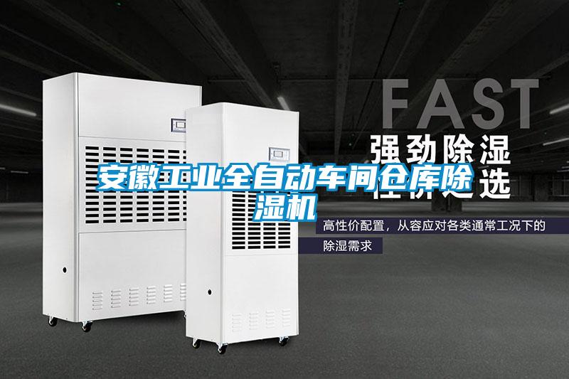 安徽工业全自动车间仓库91抖音免费看片