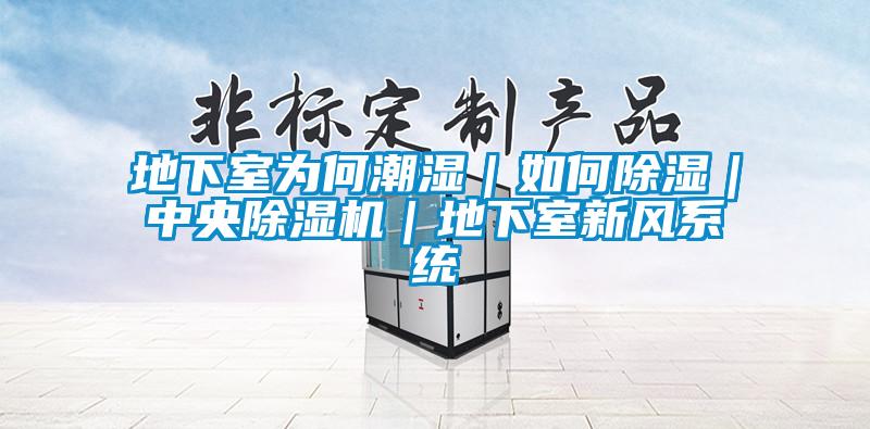 地下室为何潮湿｜如何除湿｜中央91抖音免费看片｜地下室新风系统
