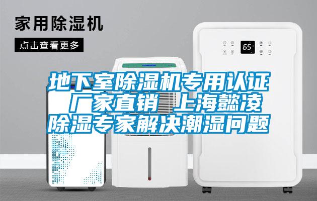 地下室91抖音免费看片专用认证 厂家直销 上海懿凌除湿专家解决潮湿问题