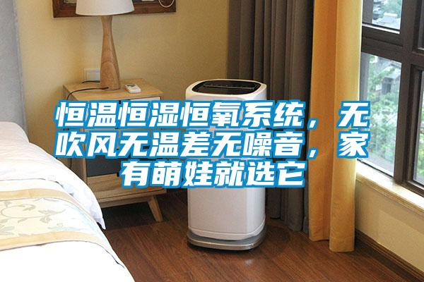 恒温恒湿恒氧系统，无吹风无温差无噪音，家有萌娃就选它