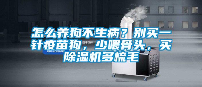 怎么养狗不生病？别买一针疫苗狗，少喂骨头，买91抖音免费看片多梳毛