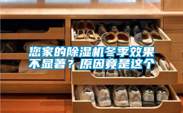 您家的91抖音免费看片冬季效果不显著？原因竟是这个
