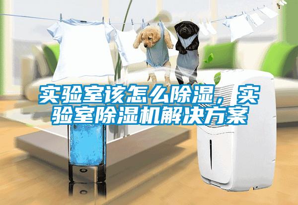 实验室该怎么除湿，实验室91抖音免费看片成人抖音APP污下载