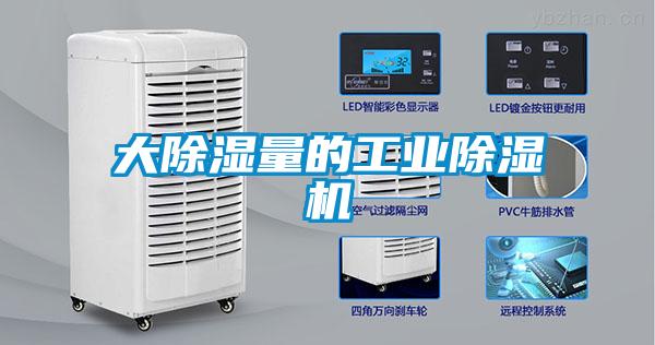 大除湿量的工业91抖音免费看片