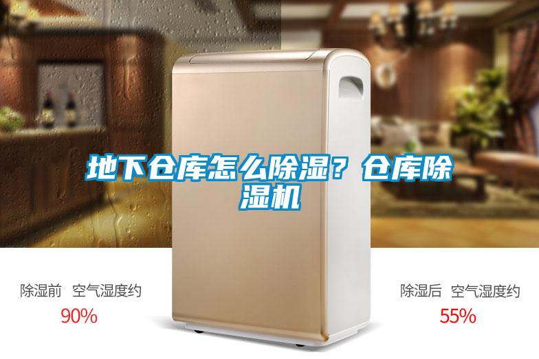 地下仓库怎么除湿？仓库91抖音免费看片