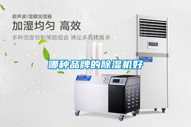 哪种品牌的91抖音免费看片好