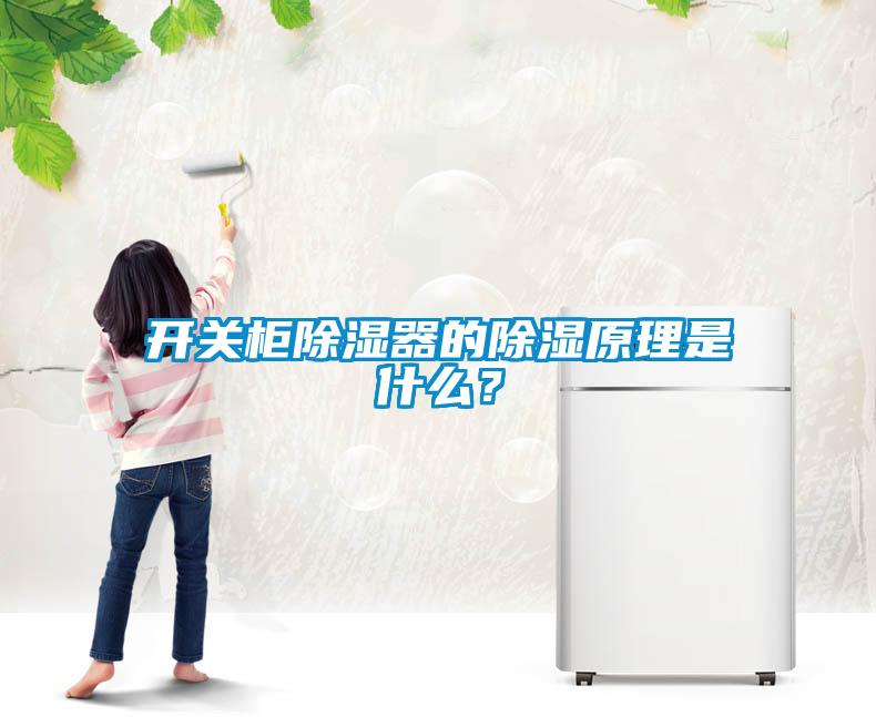 开关柜除湿器的除湿原理是什么？