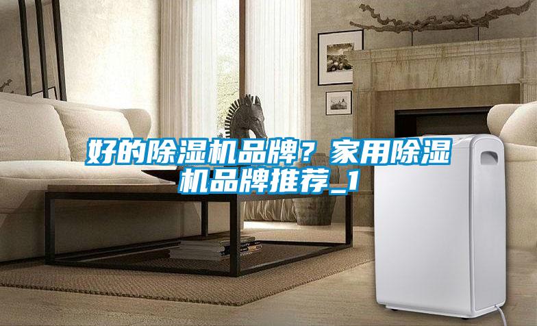 好的91抖音免费看片品牌？家用91抖音免费看片品牌推荐_1