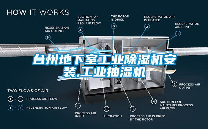台州地下室工业91抖音免费看片安装,工业抽湿机