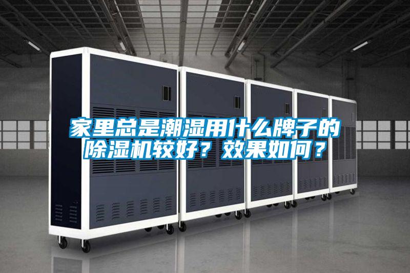 家里总是潮湿用什么牌子的91抖音免费看片较好？效果如何？