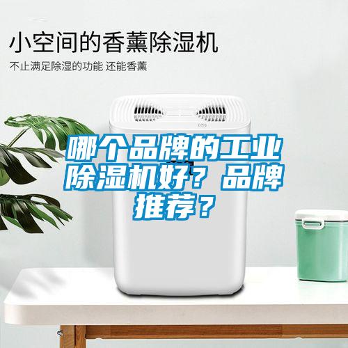 哪个品牌的工业91抖音免费看片好？品牌推荐？