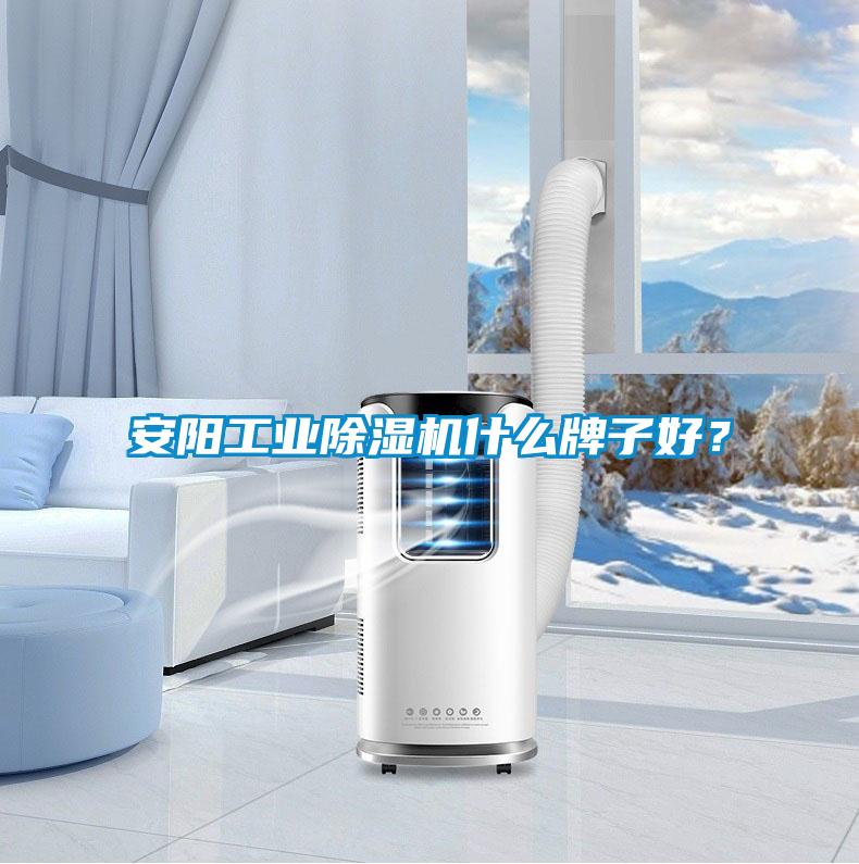 安阳工业91抖音免费看片什么牌子好？