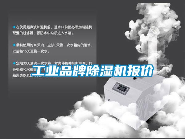 工业品牌91抖音免费看片报价