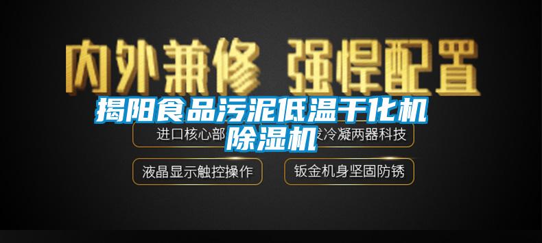 揭阳食品污泥低温干化机 91抖音免费看片