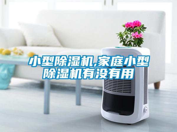 小型91抖音免费看片,家庭小型91抖音免费看片有没有用