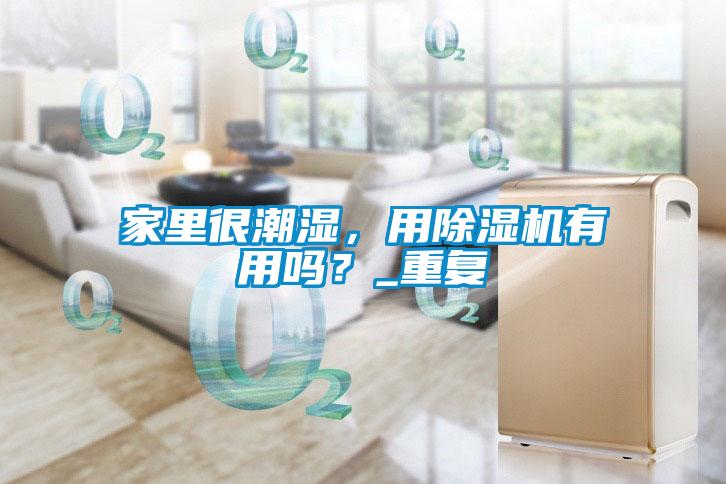 家里很潮湿，用91抖音免费看片有用吗？_重复
